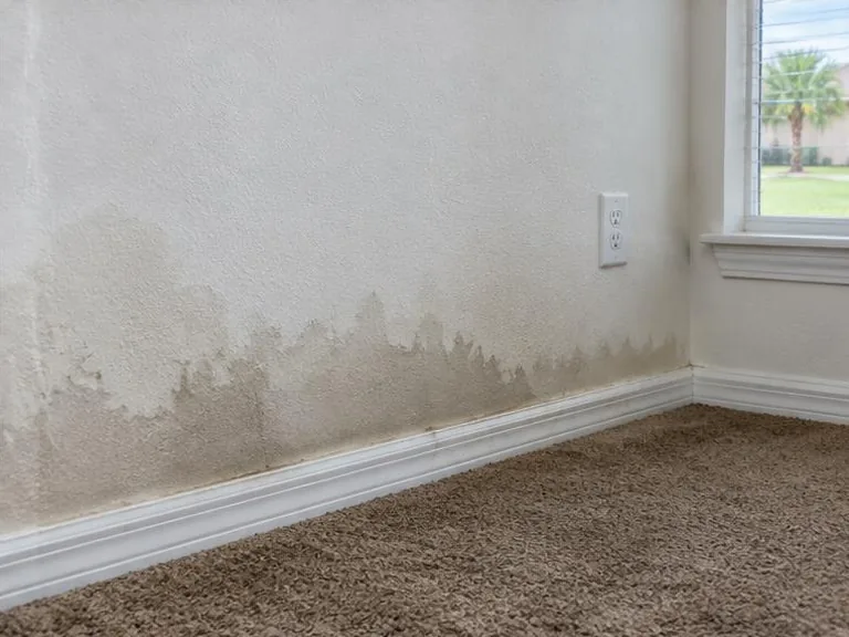 Darker wet drywall along the bottom of an interior wall.