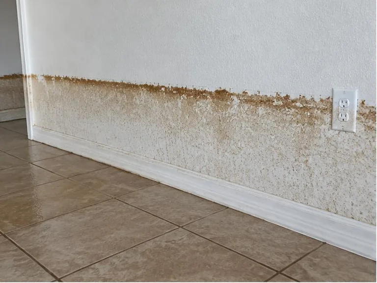 Brown flood waterline mark across an interior wall.