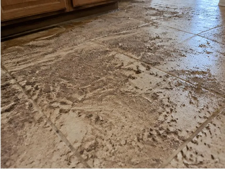 Mud and fine silt deposited across tile flooring after a flood.