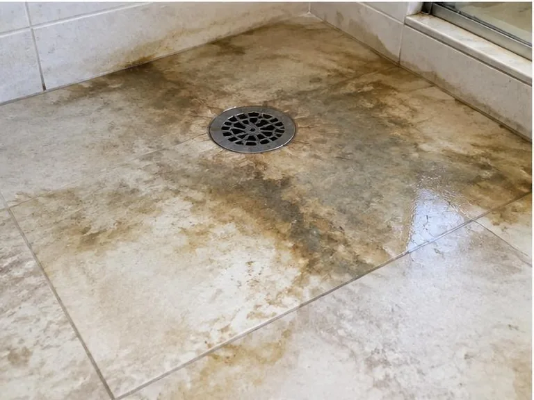 Stained flooring surrounding a shower drain after a backup.