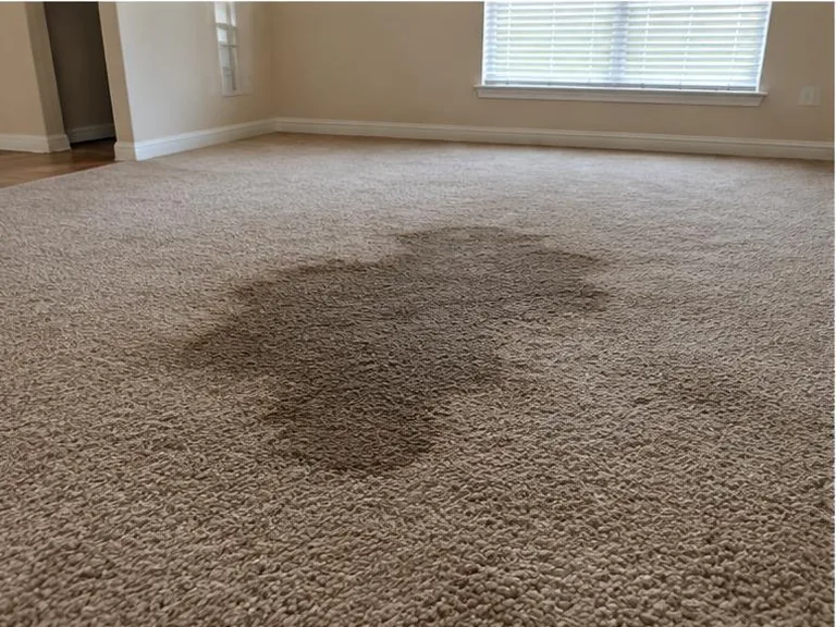 Dark damp carpet patch in a room with no visible leak source.