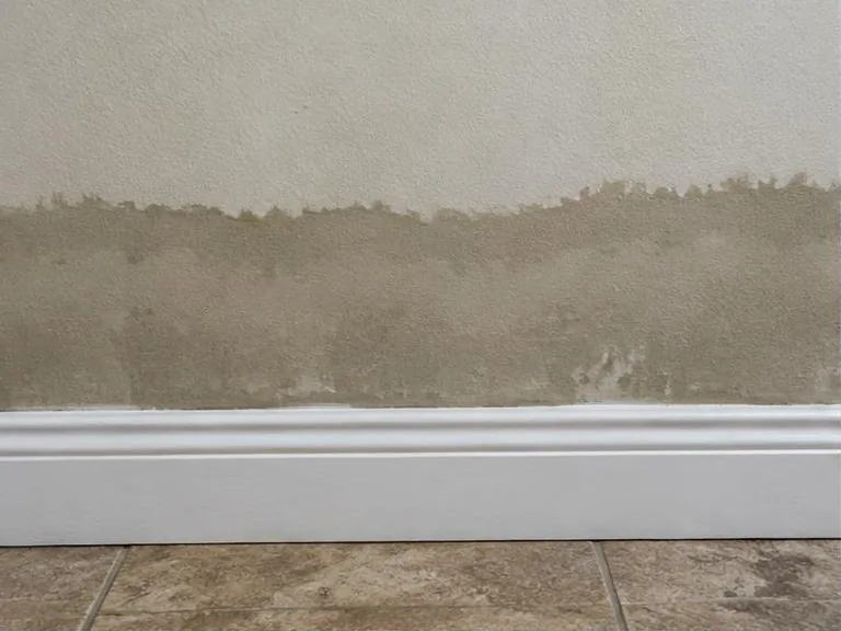 Horizontal dark moisture band wicking upward above a baseboard.
