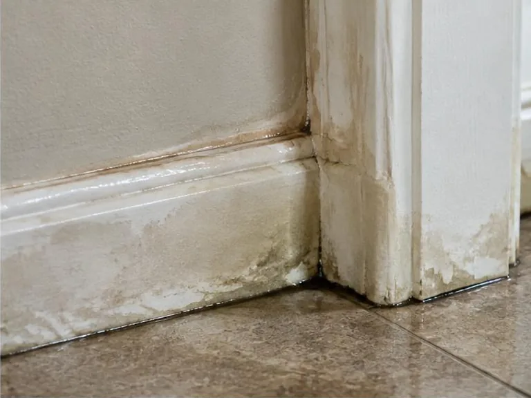 Damp stained baseboard and door trim beside a tiled floor.