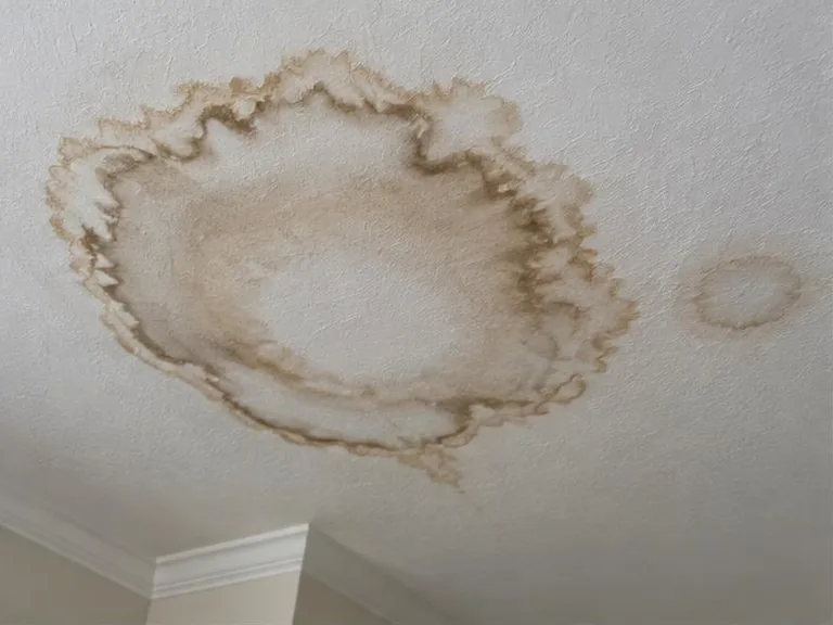 Brown water stain rings on a textured white ceiling.