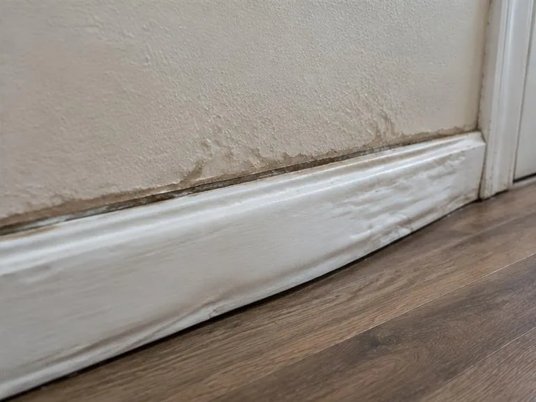 Swollen white baseboard separating from a damp wall.